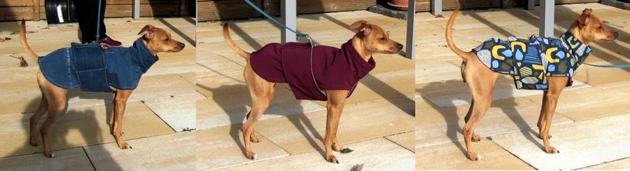 Hundejacken
